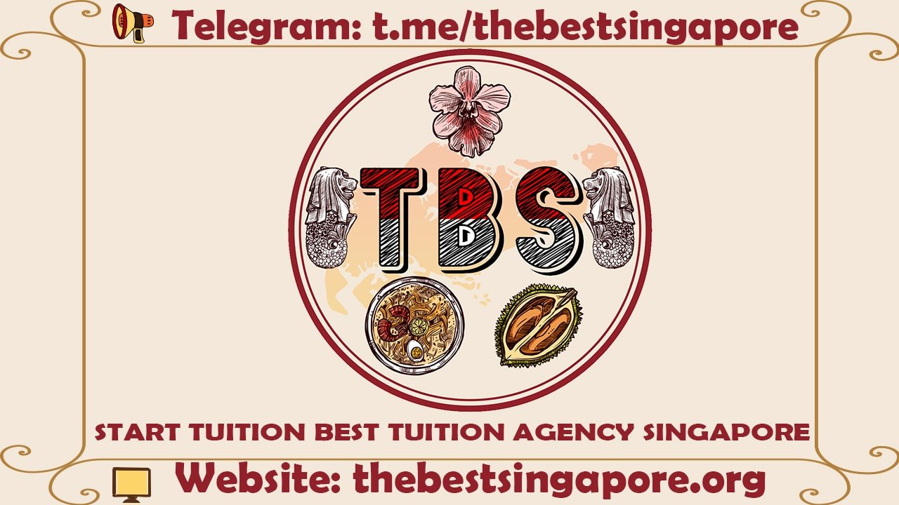 Start Tuition With The Best Tuition Agency In Singapore